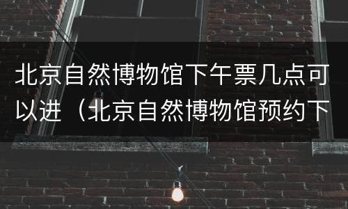 北京自然博物馆下午票几点可以进（北京自然博物馆预约下午的票上午能进吗）
