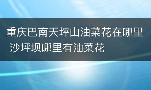 重庆巴南天坪山油菜花在哪里 沙坪坝哪里有油菜花