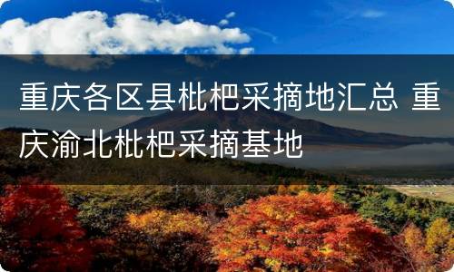 重庆各区县枇杷采摘地汇总 重庆渝北枇杷采摘基地