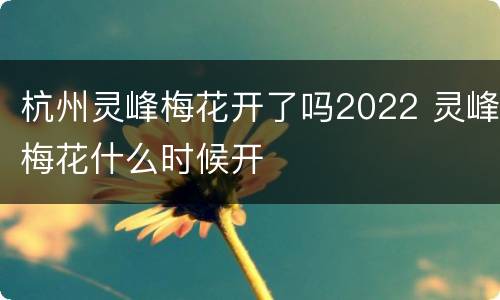 杭州灵峰梅花开了吗2022 灵峰梅花什么时候开