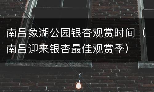 南昌象湖公园银杏观赏时间（南昌迎来银杏最佳观赏季）
