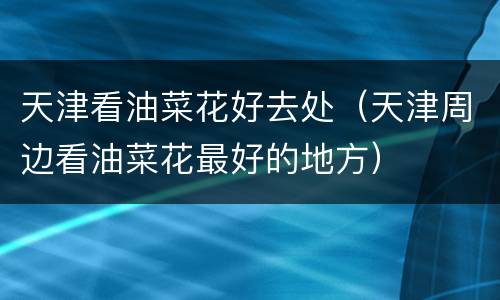 天津看油菜花好去处（天津周边看油菜花最好的地方）