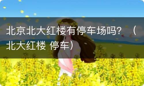 北京北大红楼有停车场吗？（北大红楼 停车）