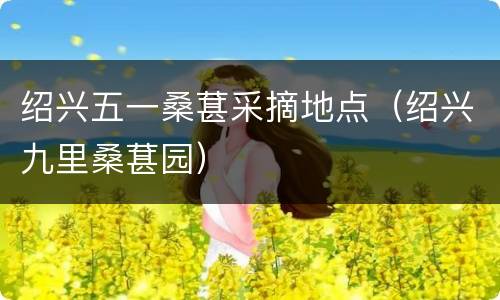 绍兴五一桑葚采摘地点（绍兴九里桑葚园）