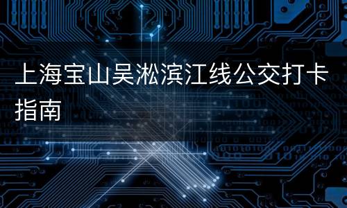 上海宝山吴淞滨江线公交打卡指南