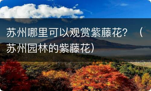苏州哪里可以观赏紫藤花？（苏州园林的紫藤花）