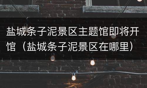 盐城条子泥景区主题馆即将开馆（盐城条子泥景区在哪里）