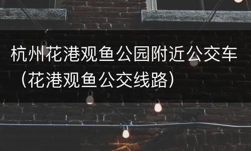 杭州花港观鱼公园附近公交车（花港观鱼公交线路）