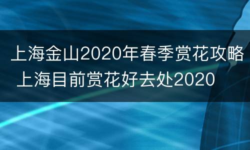 上海金山2020年春季赏花攻略 上海目前赏花好去处2020