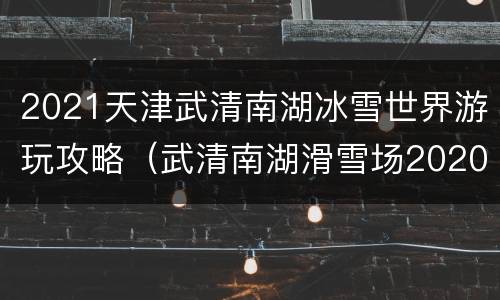2021天津武清南湖冰雪世界游玩攻略（武清南湖滑雪场2020）