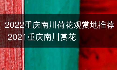 2022重庆南川荷花观赏地推荐 2021重庆南川赏花