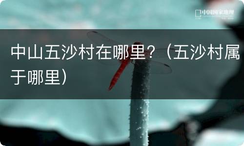 中山五沙村在哪里?（五沙村属于哪里）