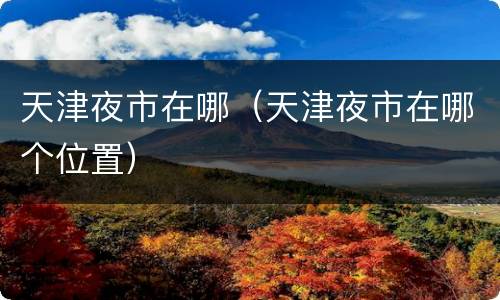 天津夜市在哪（天津夜市在哪个位置）