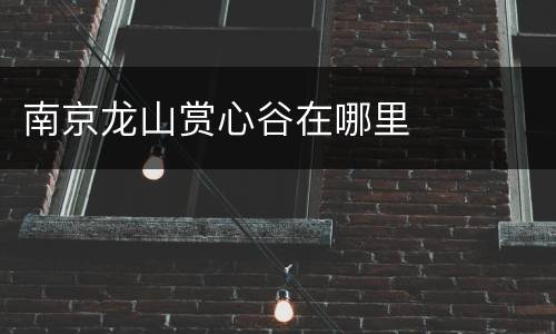 南京龙山赏心谷在哪里