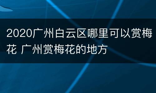 2020广州白云区哪里可以赏梅花 广州赏梅花的地方