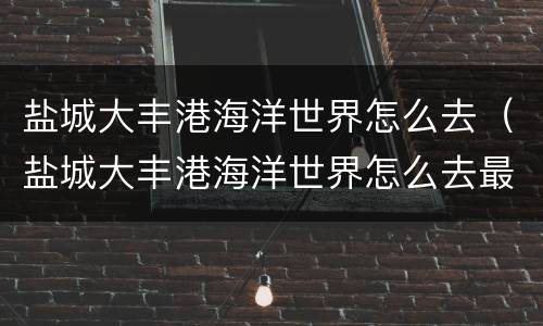 盐城大丰港海洋世界怎么去（盐城大丰港海洋世界怎么去最方便）