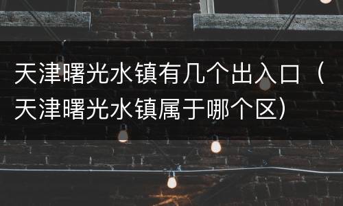 天津曙光水镇有几个出入口（天津曙光水镇属于哪个区）