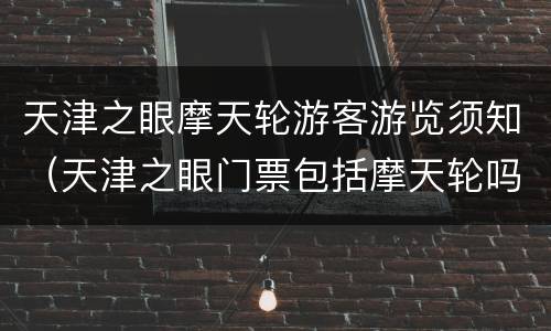 天津之眼摩天轮游客游览须知（天津之眼门票包括摩天轮吗）