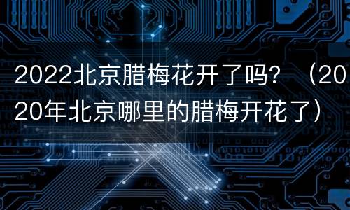 2022北京腊梅花开了吗？（2020年北京哪里的腊梅开花了）