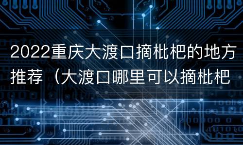 2022重庆大渡口摘枇杷的地方推荐（大渡口哪里可以摘枇杷）