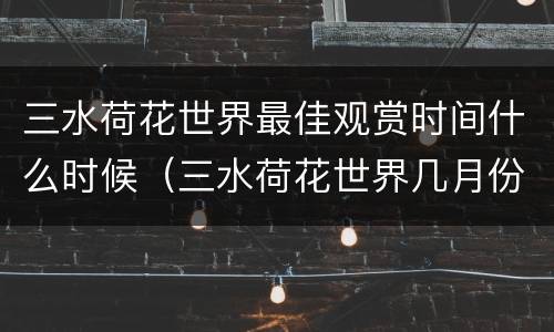 三水荷花世界最佳观赏时间什么时候（三水荷花世界几月份去最好）