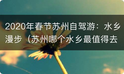 2020年春节苏州自驾游：水乡漫步（苏州哪个水乡最值得去）