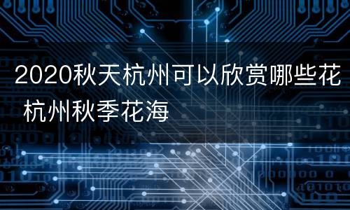 2020秋天杭州可以欣赏哪些花 杭州秋季花海