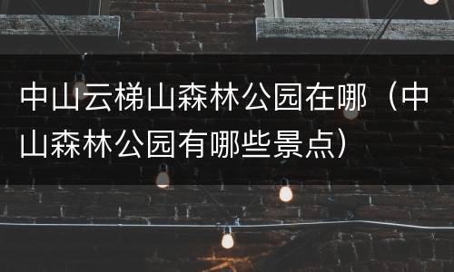 中山云梯山森林公园在哪（中山森林公园有哪些景点）