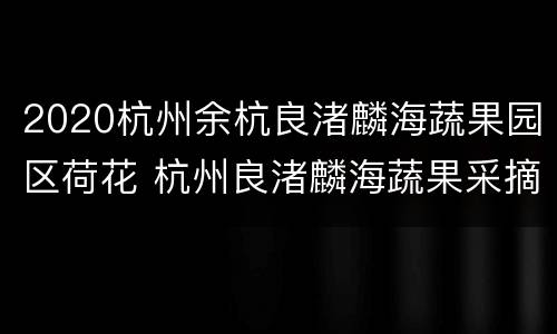 2020杭州余杭良渚麟海蔬果园区荷花 杭州良渚麟海蔬果采摘园