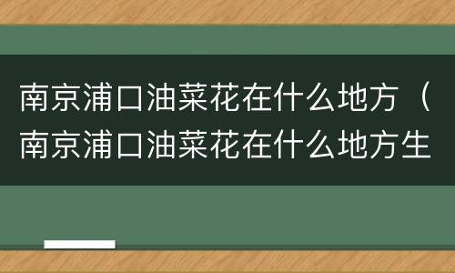 南京浦口油菜花在什么地方（南京浦口油菜花在什么地方生长）
