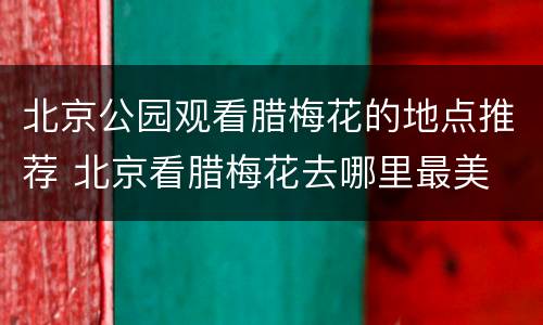 北京公园观看腊梅花的地点推荐 北京看腊梅花去哪里最美
