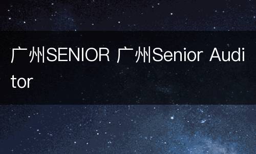 广州SENIOR 广州Senior Auditor