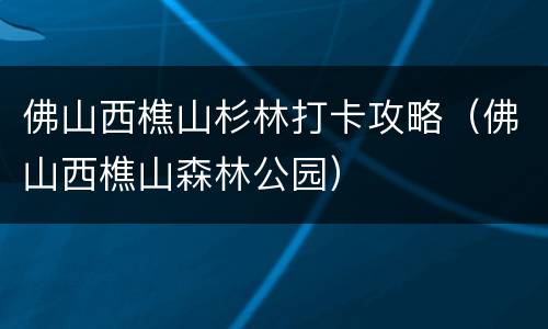 佛山西樵山杉林打卡攻略（佛山西樵山森林公园）
