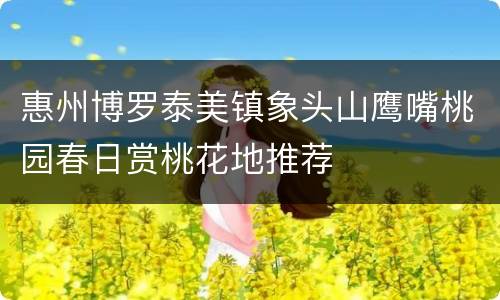惠州博罗泰美镇象头山鹰嘴桃园春日赏桃花地推荐