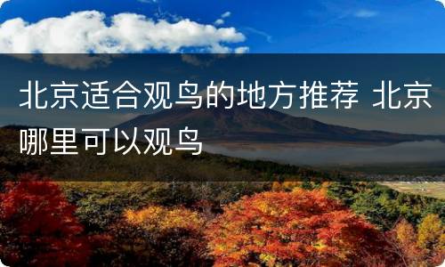 北京适合观鸟的地方推荐 北京哪里可以观鸟