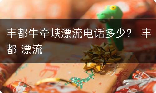 丰都牛牵峡漂流电话多少？ 丰都 漂流