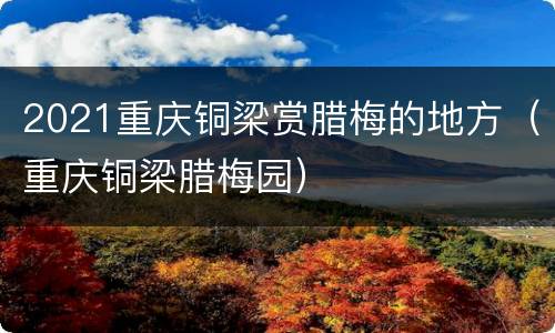 2021重庆铜梁赏腊梅的地方（重庆铜梁腊梅园）