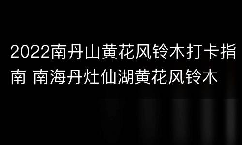 2022南丹山黄花风铃木打卡指南 南海丹灶仙湖黄花风铃木