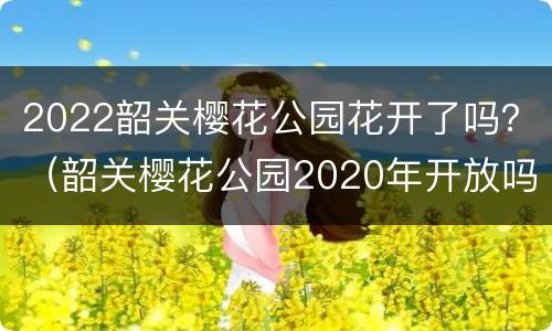 2022韶关樱花公园花开了吗？（韶关樱花公园2020年开放吗）