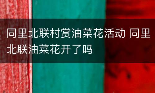 同里北联村赏油菜花活动 同里北联油菜花开了吗