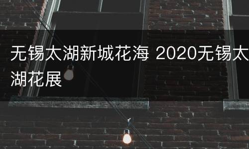 无锡太湖新城花海 2020无锡太湖花展