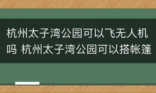 杭州太子湾公园可以飞无人机吗 杭州太子湾公园可以搭帐篷吗