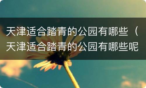 天津适合踏青的公园有哪些（天津适合踏青的公园有哪些呢）