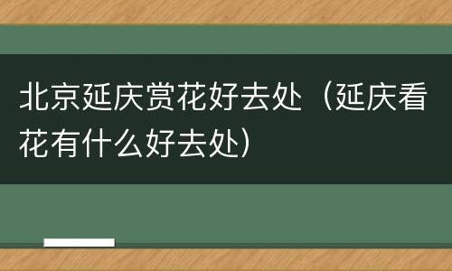 北京延庆赏花好去处（延庆看花有什么好去处）