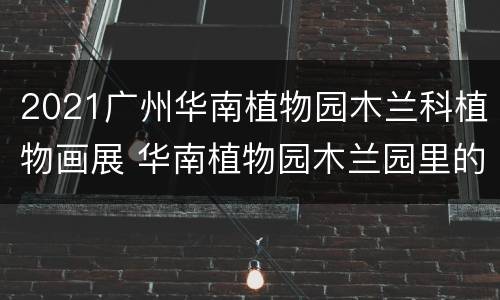 2021广州华南植物园木兰科植物画展 华南植物园木兰园里的古墓