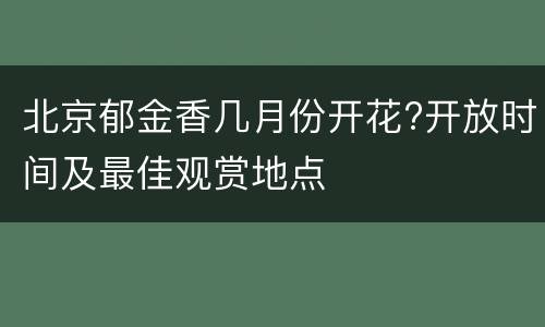 北京郁金香几月份开花?开放时间及最佳观赏地点