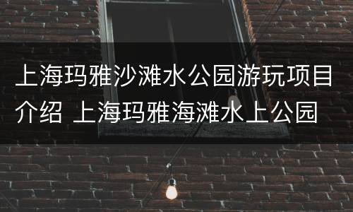 上海玛雅沙滩水公园游玩项目介绍 上海玛雅海滩水上公园