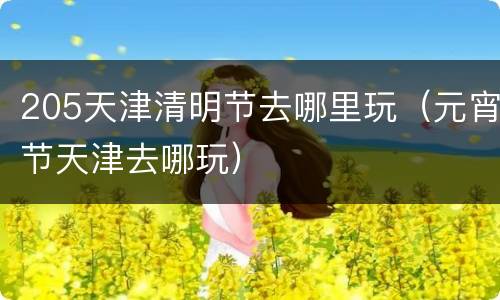 205天津清明节去哪里玩（元宵节天津去哪玩）