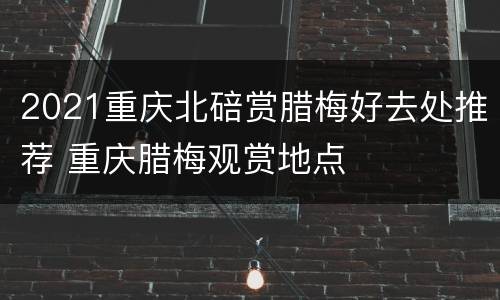 2021重庆北碚赏腊梅好去处推荐 重庆腊梅观赏地点