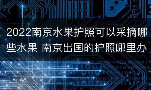 2022南京水果护照可以采摘哪些水果 南京出国的护照哪里办